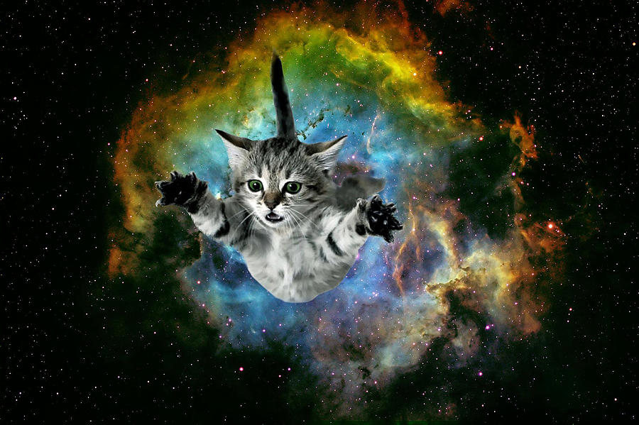 Cat Digital Art - Galaxy Cat Universe Kitten Launch                                                 by Johnnie Art