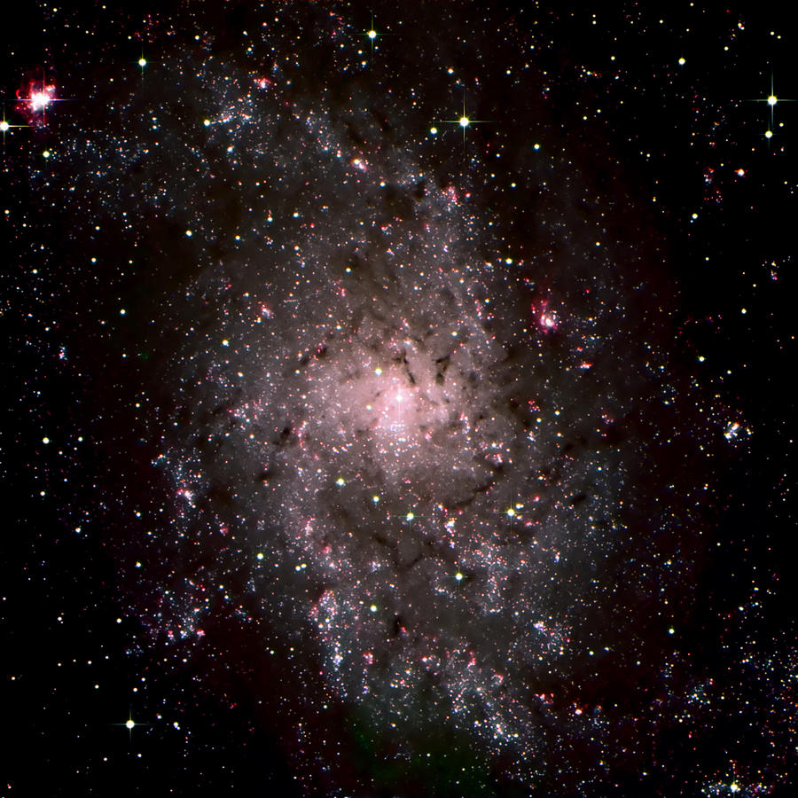 Galaxy in Traiangulum Photograph by Jim DeLillo