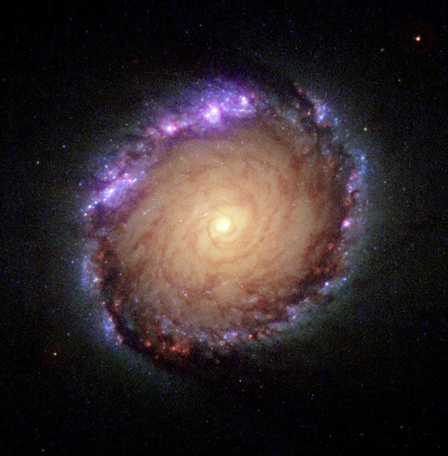 Galaxy NGC 1512 Painting by Hubble Space Telescope
