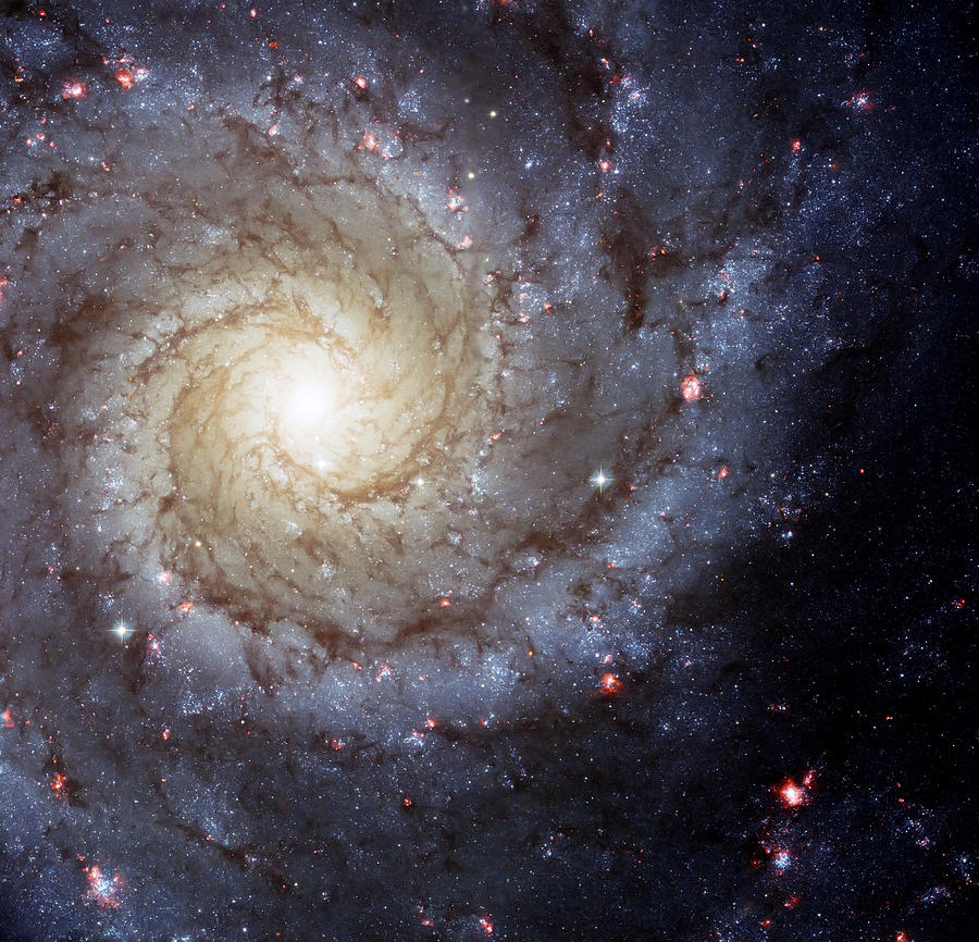 Space Photograph - Galaxy Swirl by Jennifer Rondinelli Reilly - Fine Art Photography