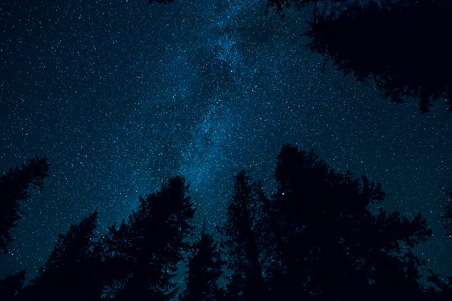 Galaxy Through Trees Photograph by Robb Cummings - Fine Art America