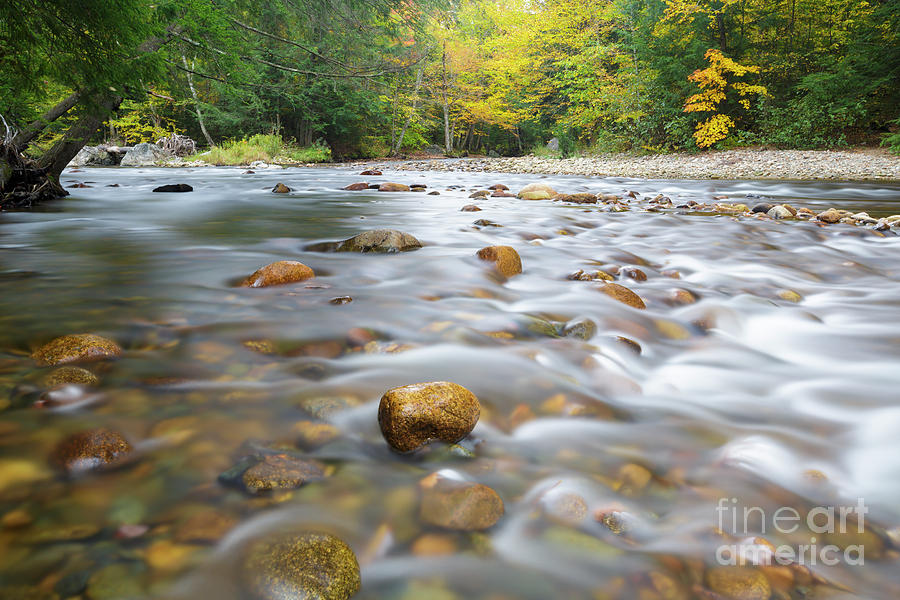 Fall Photograph - Gale River - Franconia New Hampshire  by Erin Paul Donovan