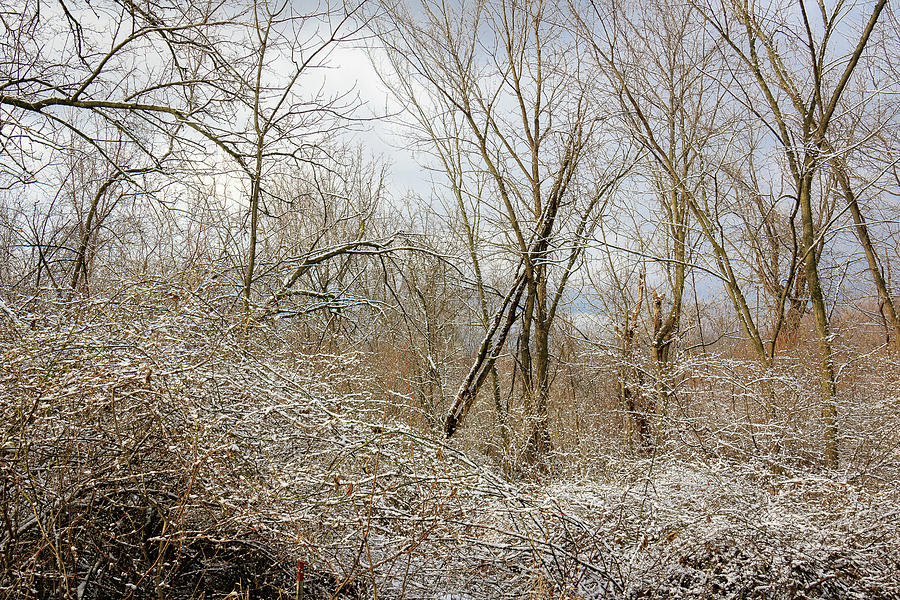 Galena Snowy Morning Photograph by Joni Eskridge