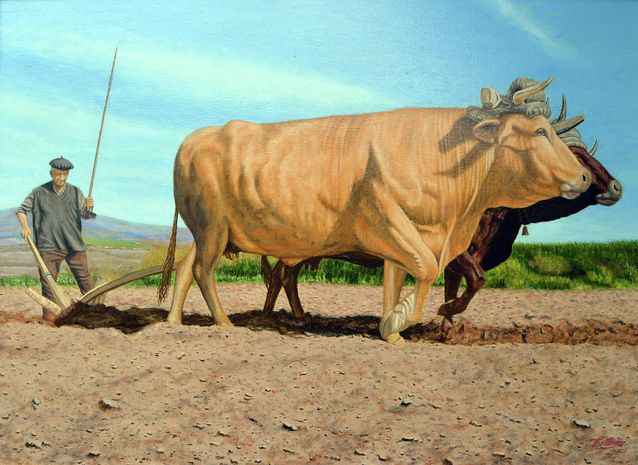 Galicia Rural Painting by Tony Banos