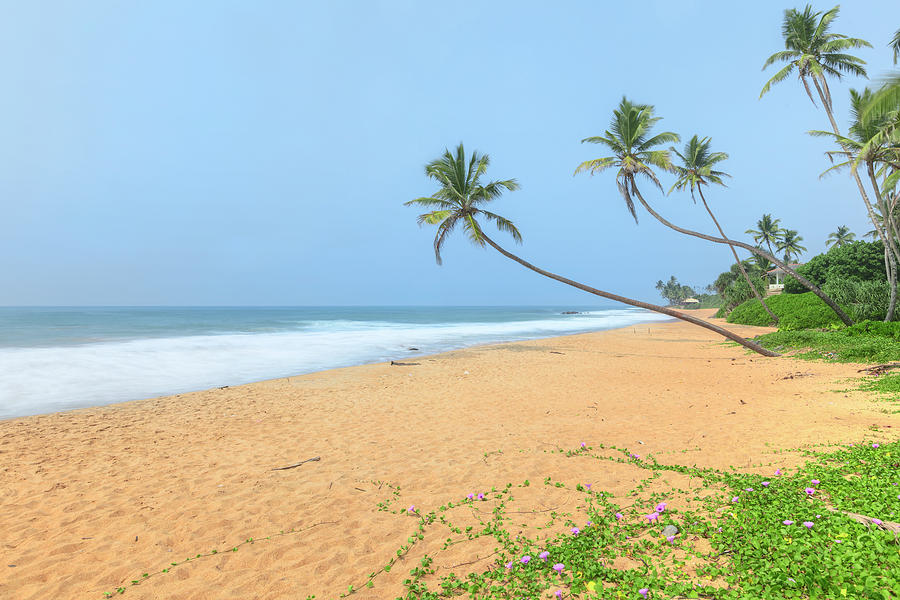 Galle - Sri Lanka Photograph by Joana Kruse