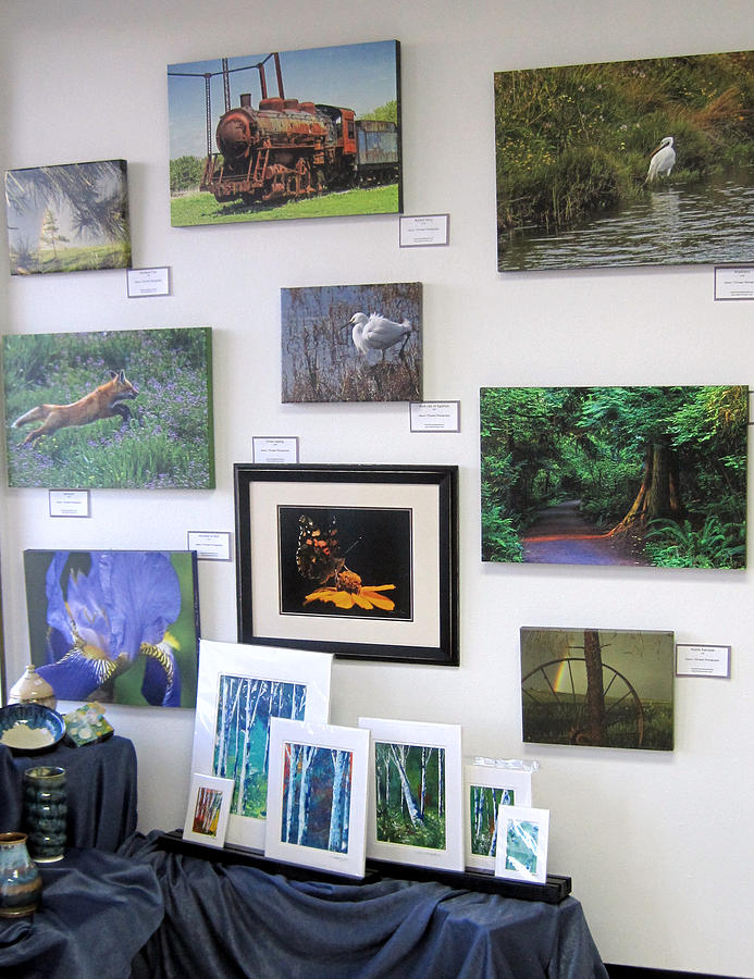 Gallery Wall Photograph by Alana Thrower Gallery Wall Photograph by Alana Thrower