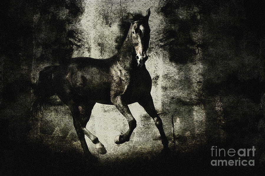 Galloping Horse Artwork Digital Art by Dimitar Hristov