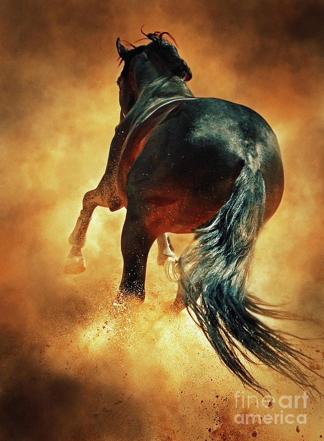 Galloping horse in fire dust Photograph by Dimitar Hristov