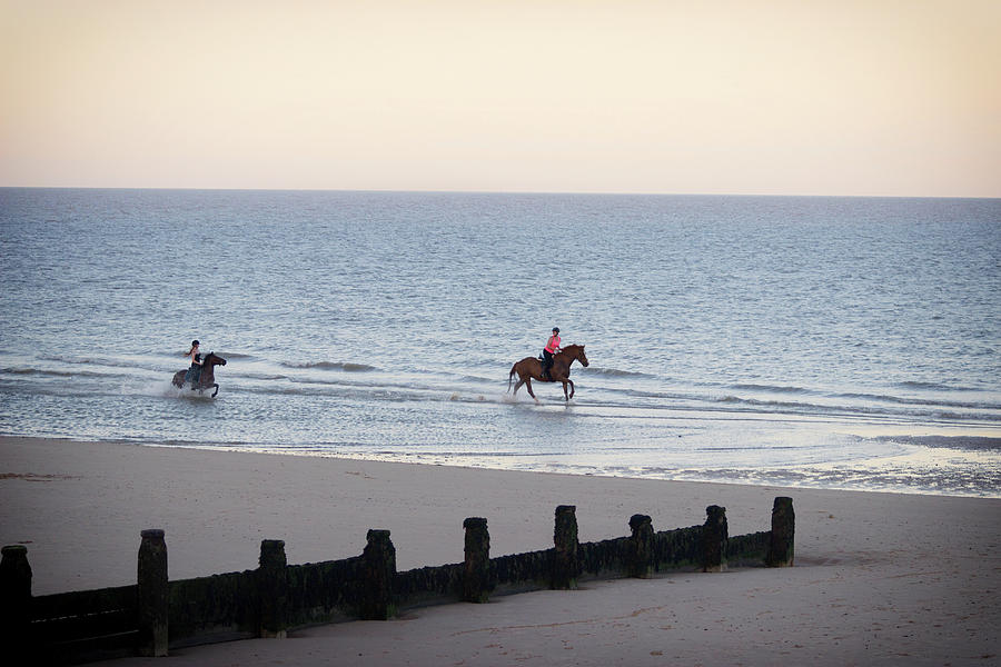 Nature Photograph - Galloping on the beach  by Martin Newman
