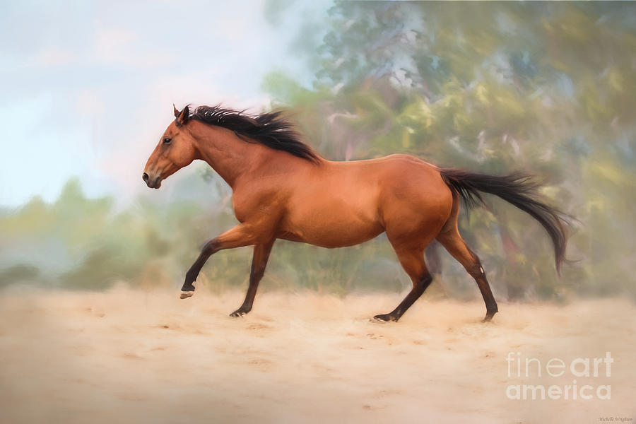 Galloping Thoroughbred Horse Photograph by Michelle Wrighton