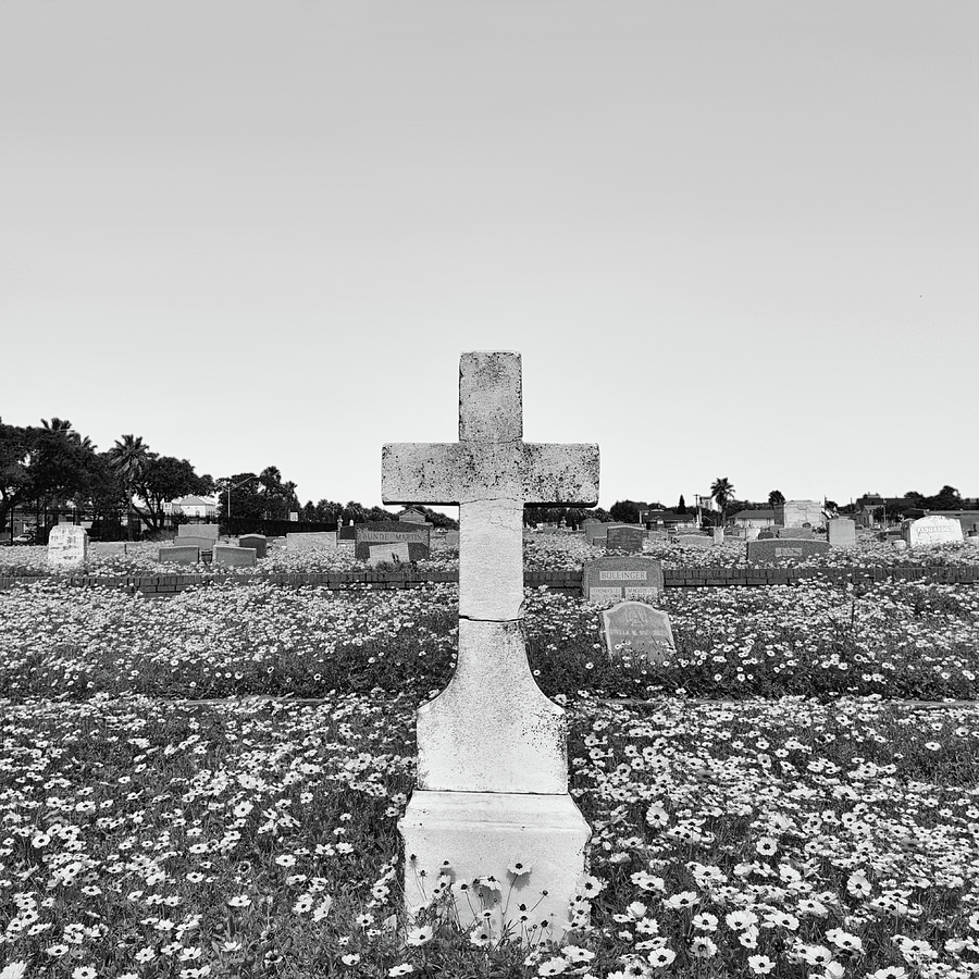 Galveston Cemetery Photograph by Steven Michael