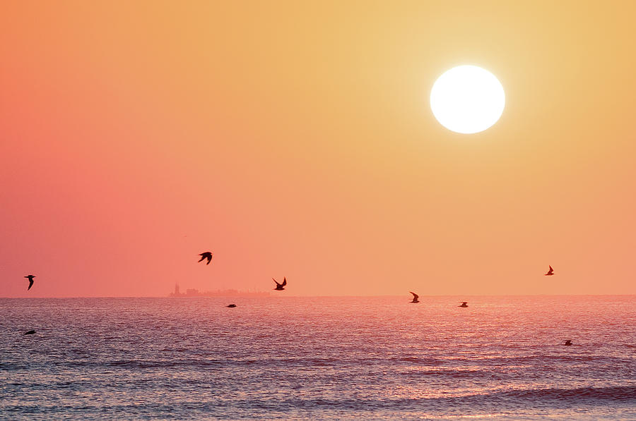 Galveston East Beach Sunrise Photograph by Victor Culpepper