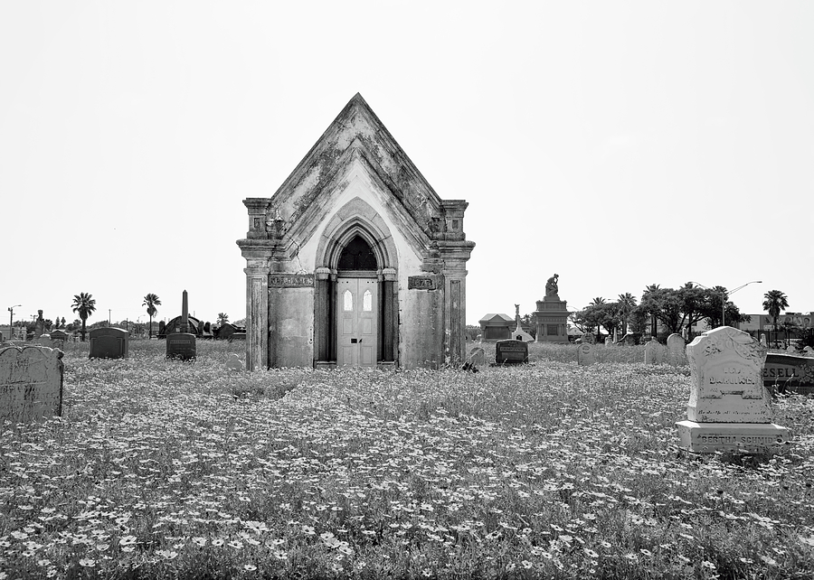 Daisy Photograph - Galveston Old City Cemetery by Steven Michael