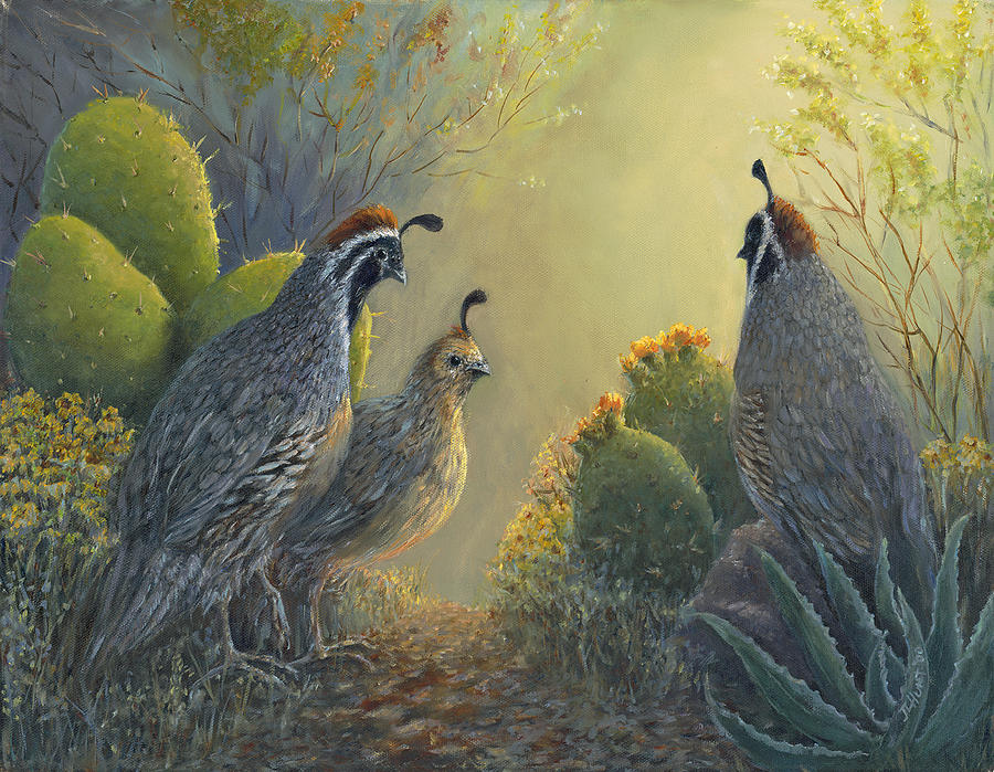 Gambels Quail - Early Light Painting by June Hunt