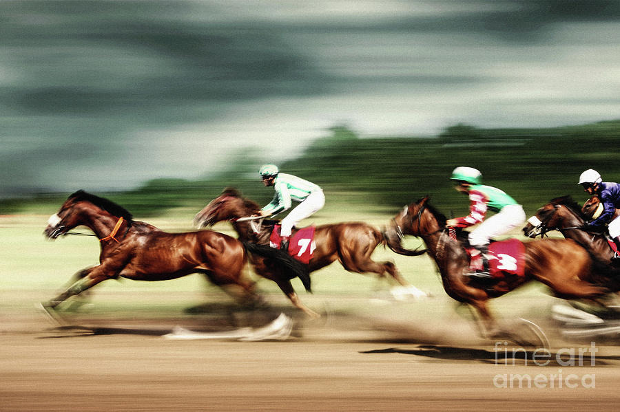 Gamble horses Race horses galloping Photograph by Dimitar Hristov