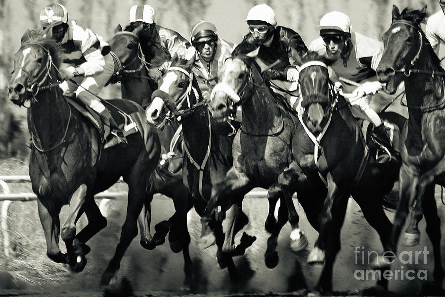 Gamble Horses Running Photograph by Dimitar Hristov