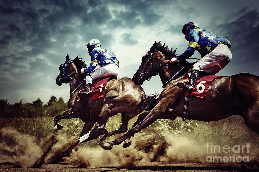 Gambling horses horse competition Photograph by Dimitar Hristov