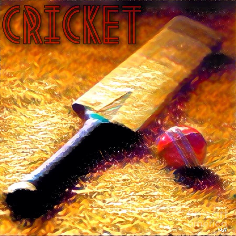 Cricket Mixed Media - Game on by Maria Watt