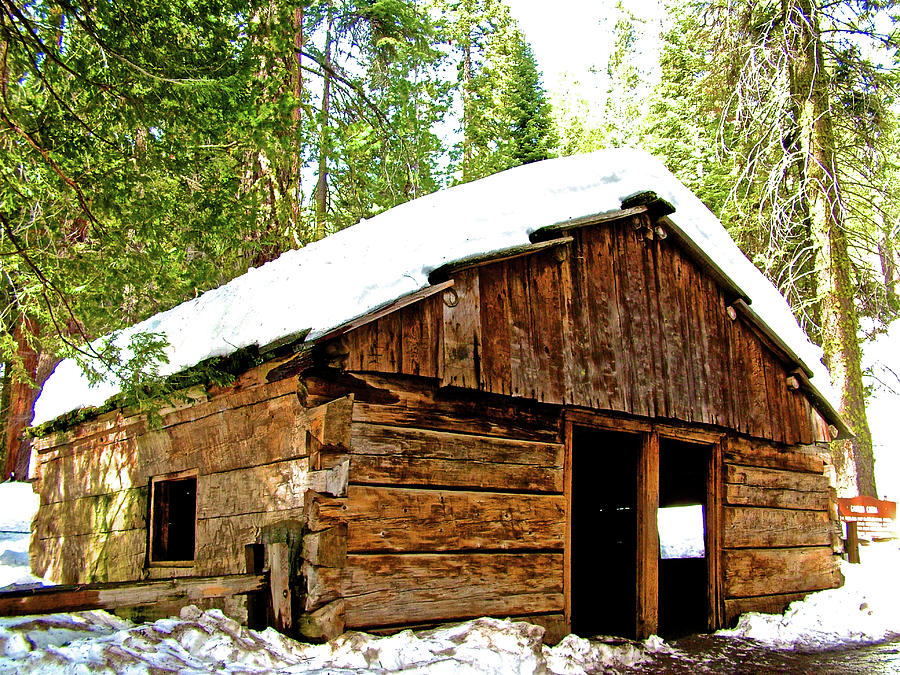 Gamlin Cabin in Sequoia National Park-California  Photograph by Ruth Hager