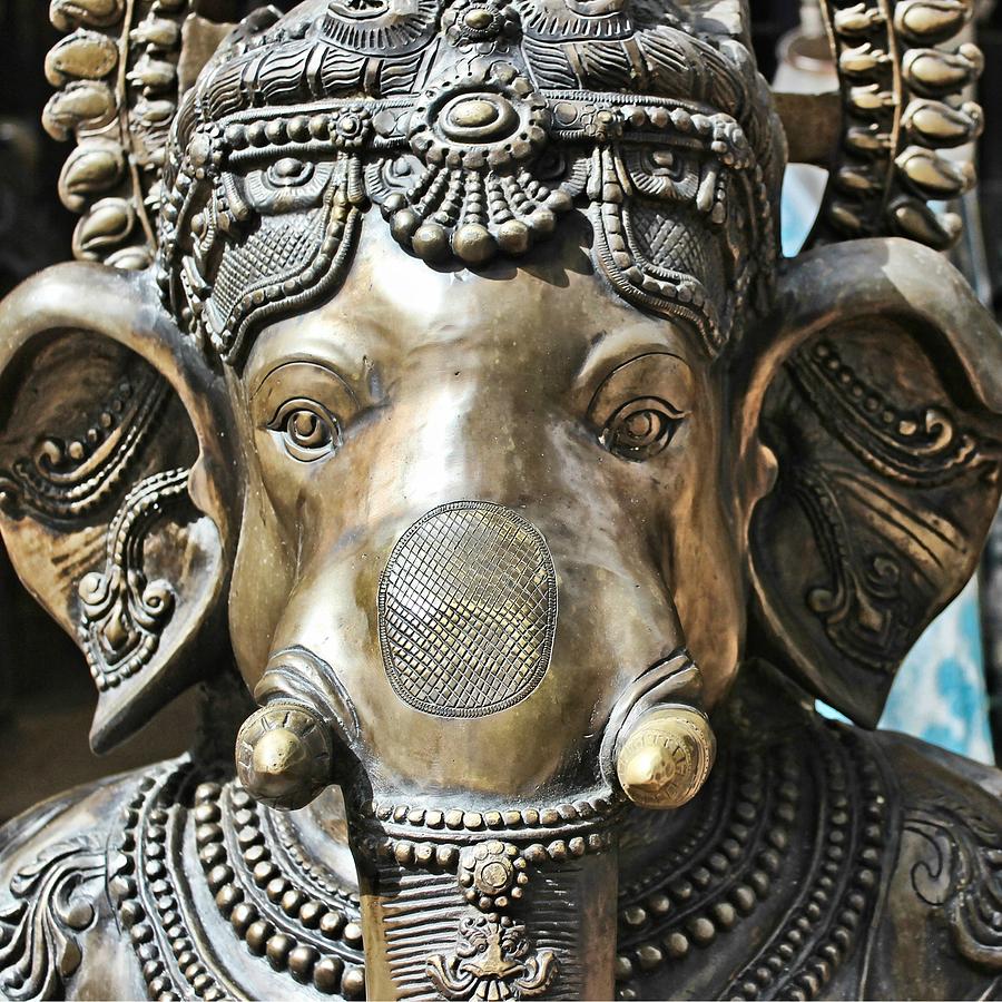 Ganesha Photograph by Mary Pille