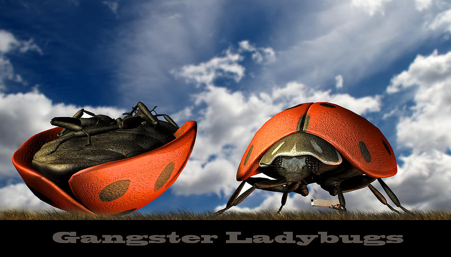 Ladybug Digital Art - Gangster Ladybugs Nature Gone Mad by Bob Orsillo