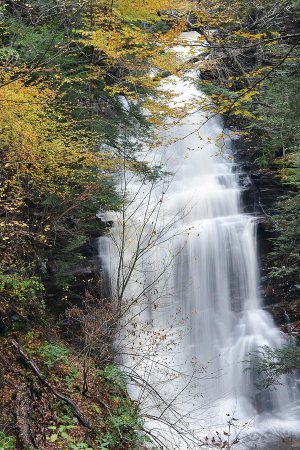 Ganoga Falls Photograph by Philip LeVee