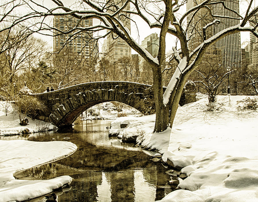 Gapstow Bridge Photograph by Michael Belling - Pixels