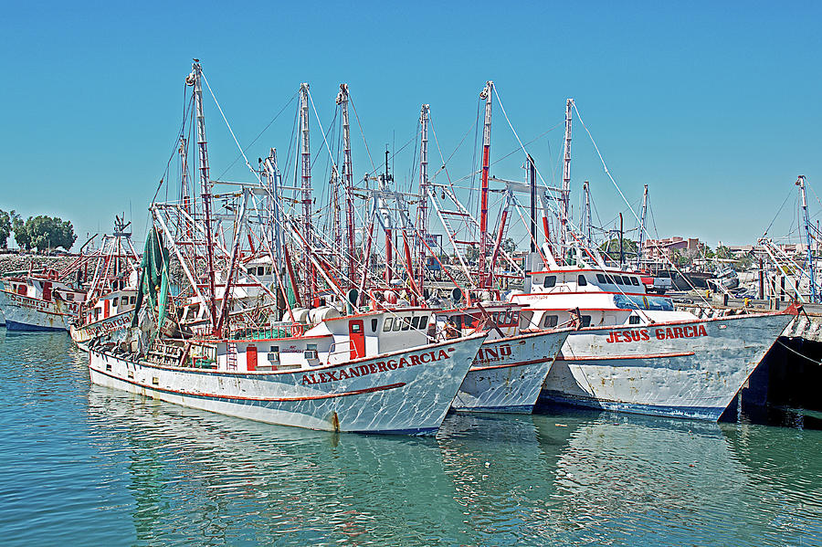 Mexico Photograph - Garcia Fleet in Shrimp Boat Marina in Puerto Penasco in Sonora-Mexico by Ruth Hager