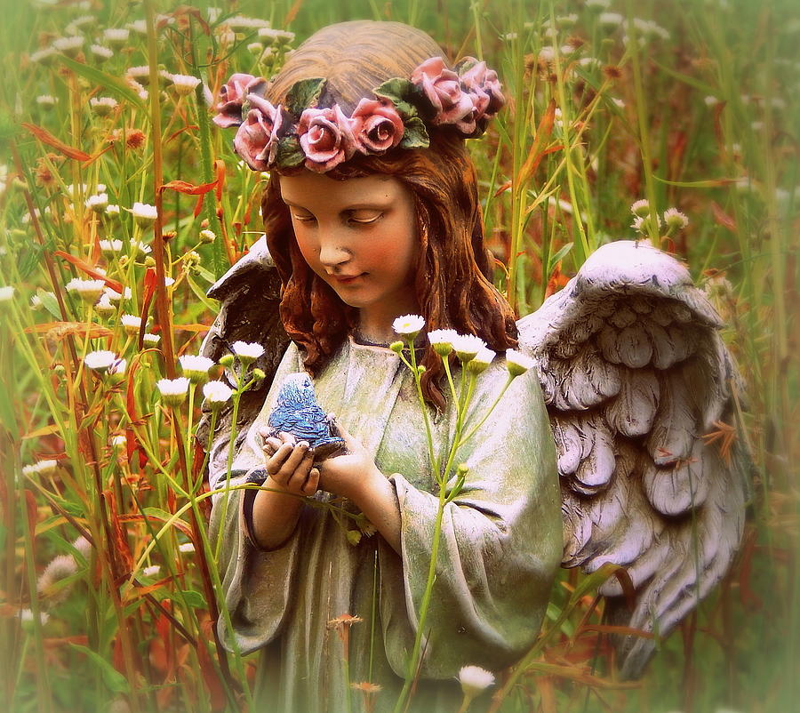 Garden Angel Photograph by Karen Cook - Fine Art America