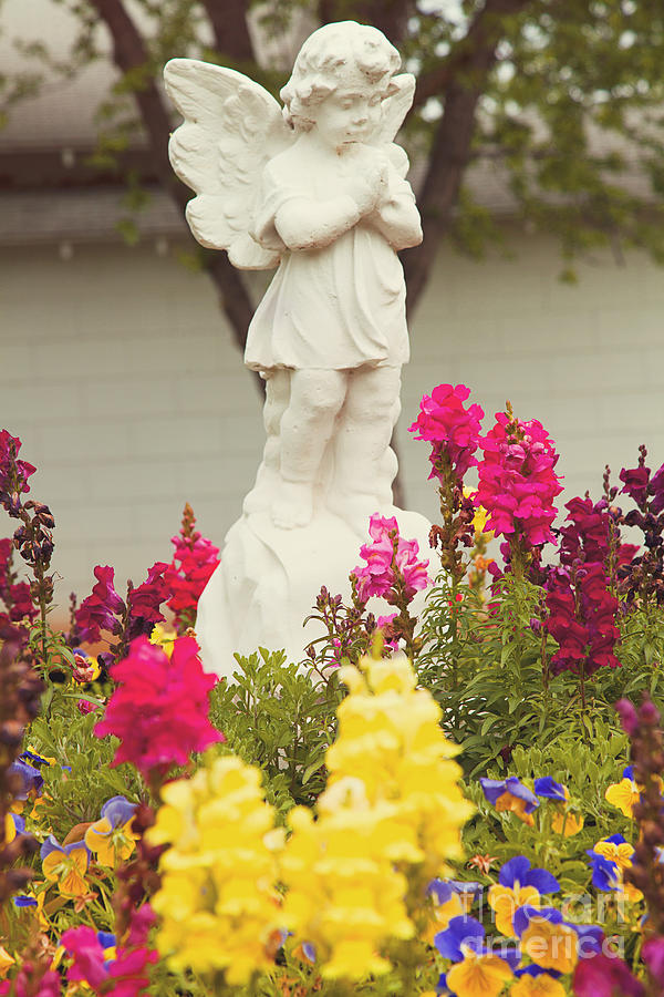 Garden angel Photograph by Toni Hopper