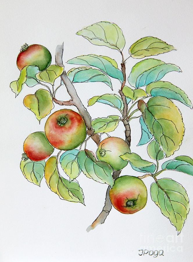 Garden apples sketch Painting by Inese Poga