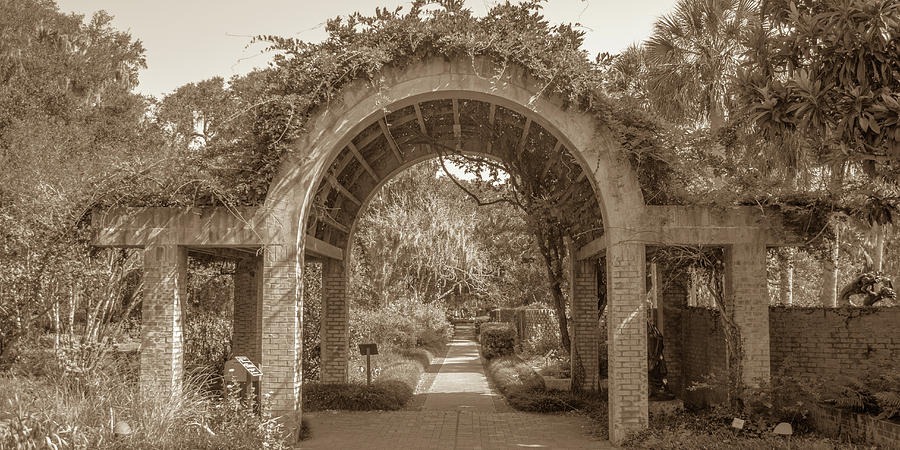 Garden Arch Photograph by Darrell Foster