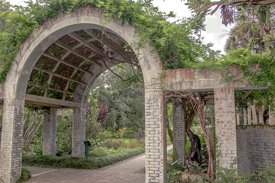 Garden Arch II Photograph by Darrell Foster