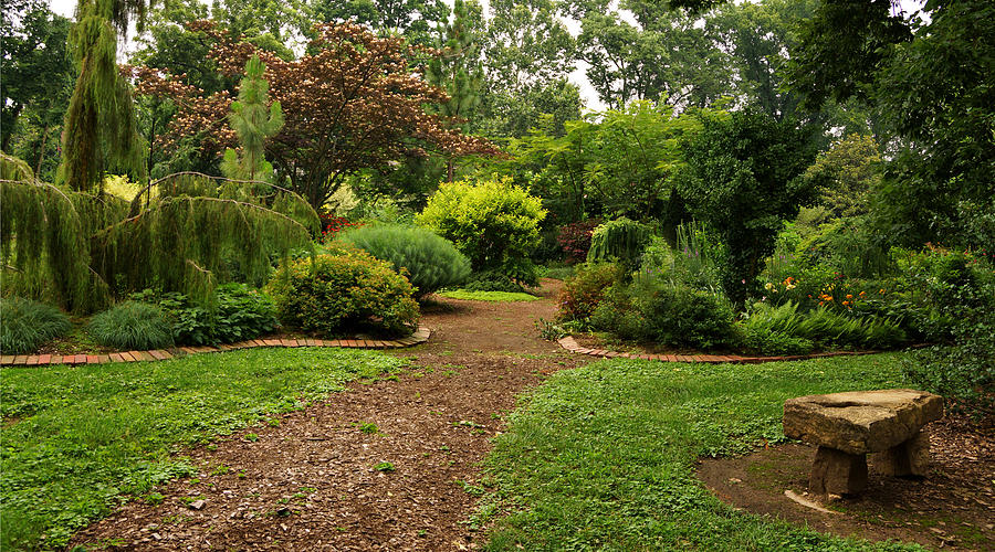 Garden at Whitehall Photograph by Sandy Keeton