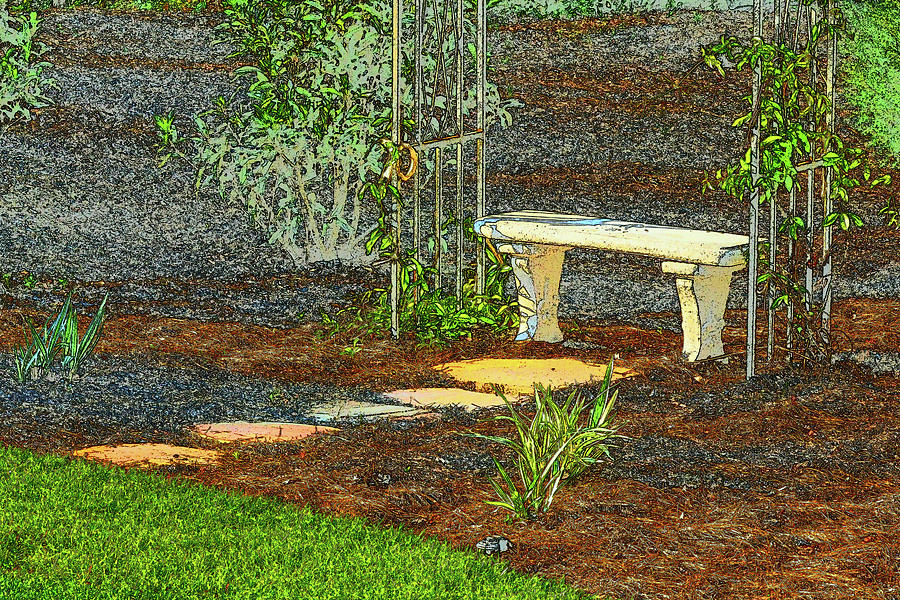 Garden Bench #2 Photograph by Jerry Griffin