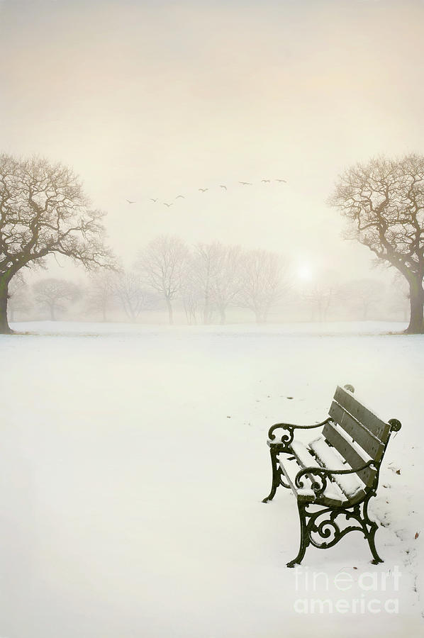 Garden Bench At Sunset In Snowy Landscape Photograph by Lee Avison