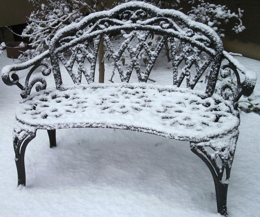 Garden Bench in Winter Photograph by Betty Buller Whitehead