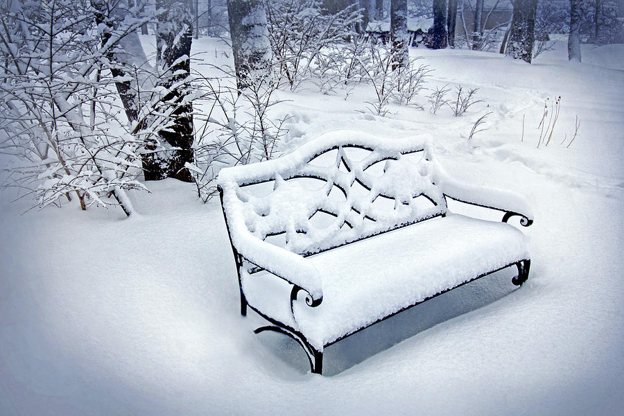 Garden Bench in Winter Photograph by Carolyn Derstine