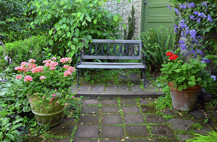 Nature Photograph - Garden bench on patio by Ingrid Perlstrom