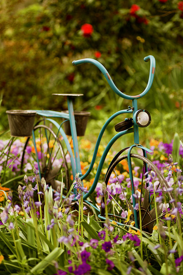 Garden Bicycle II Photograph by Rachel Morrison