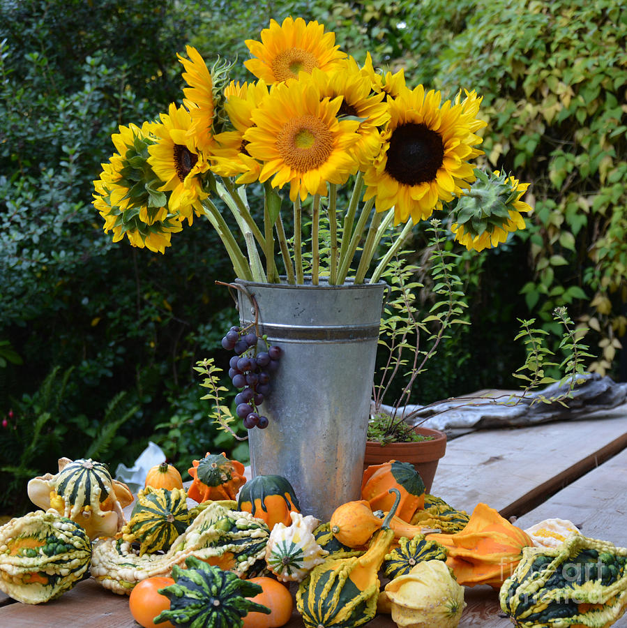 Garden Bounty in Yellow and Green Photograph by Tatyana Searcy