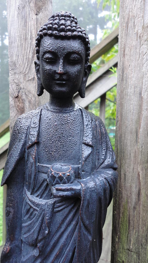  Garden Buddha Photograph by John Lyes
