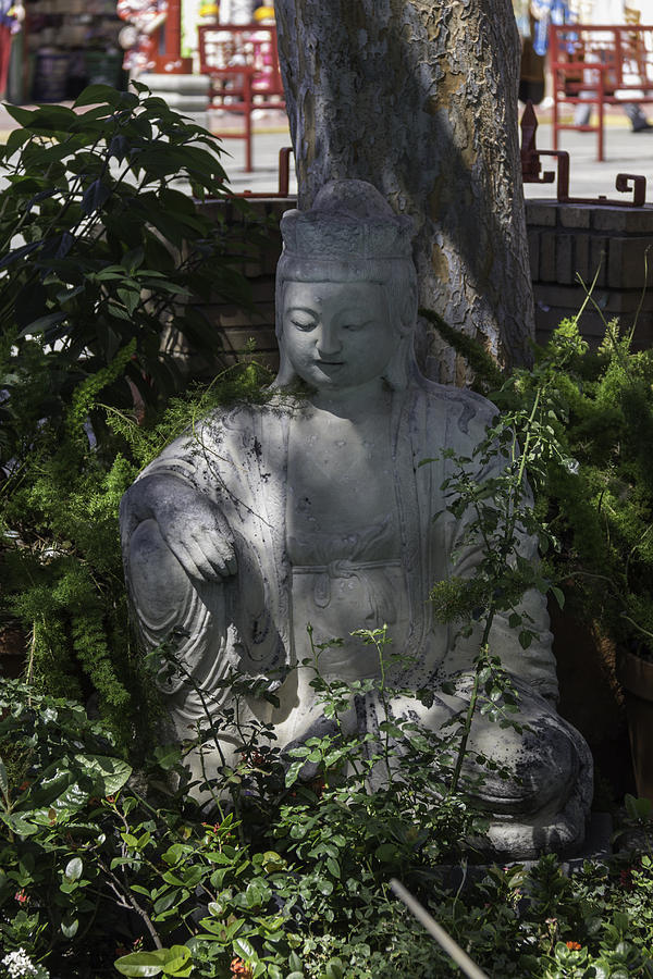 Garden Buddha Photograph by Teresa Mucha
