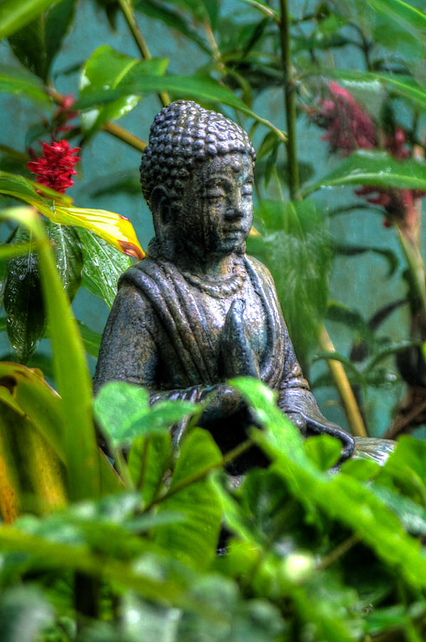 Garden Buddha Photograph by William Wetmore