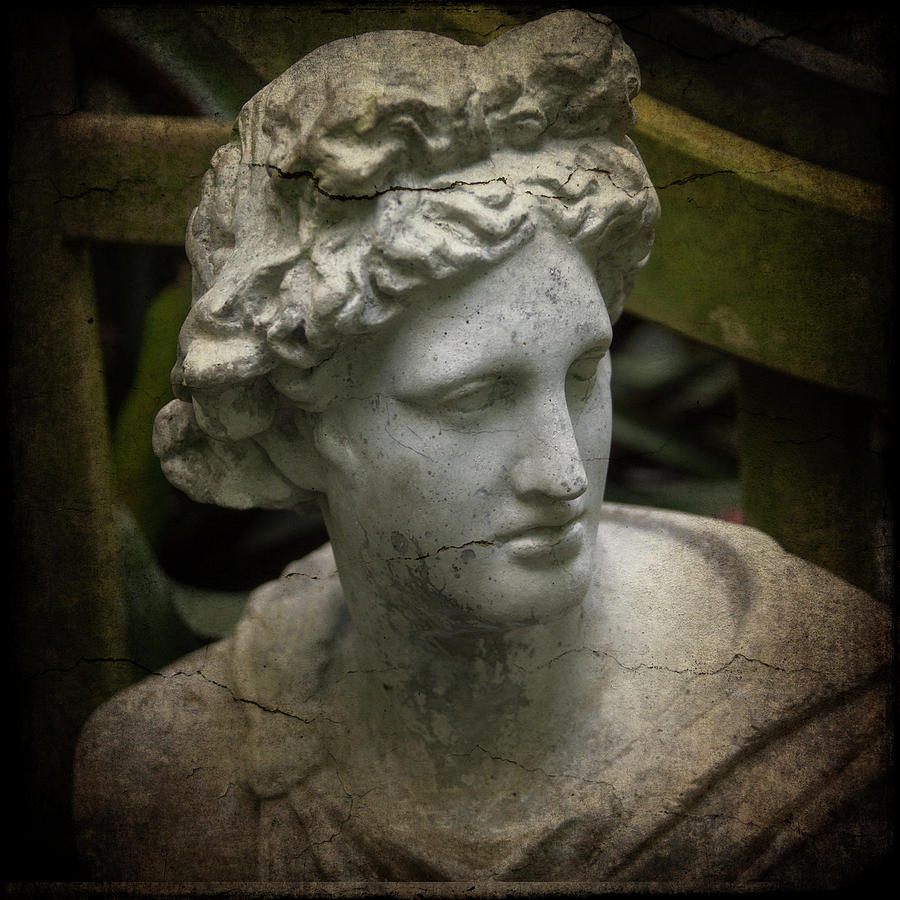 Garden Bust Photograph by Garry Gay - Fine Art America