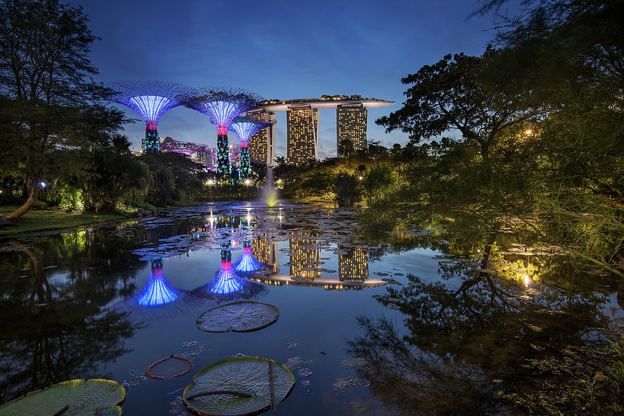 Garden by the Bay, Singapore Photograph by Pradeep Raja Prints