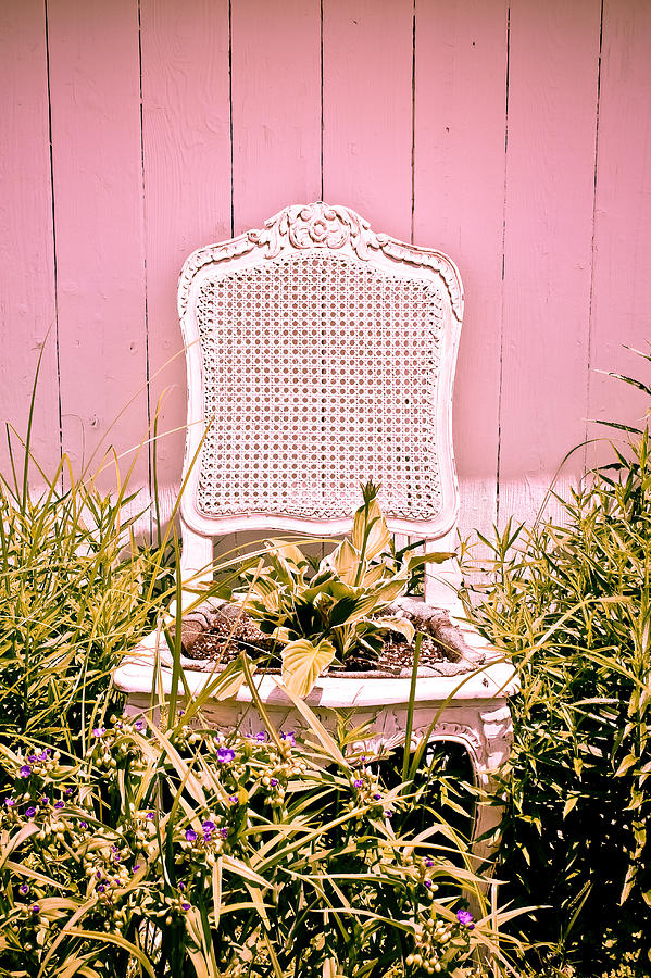 Garden Chair - Baby Pink Photograph by Colleen Kammerer