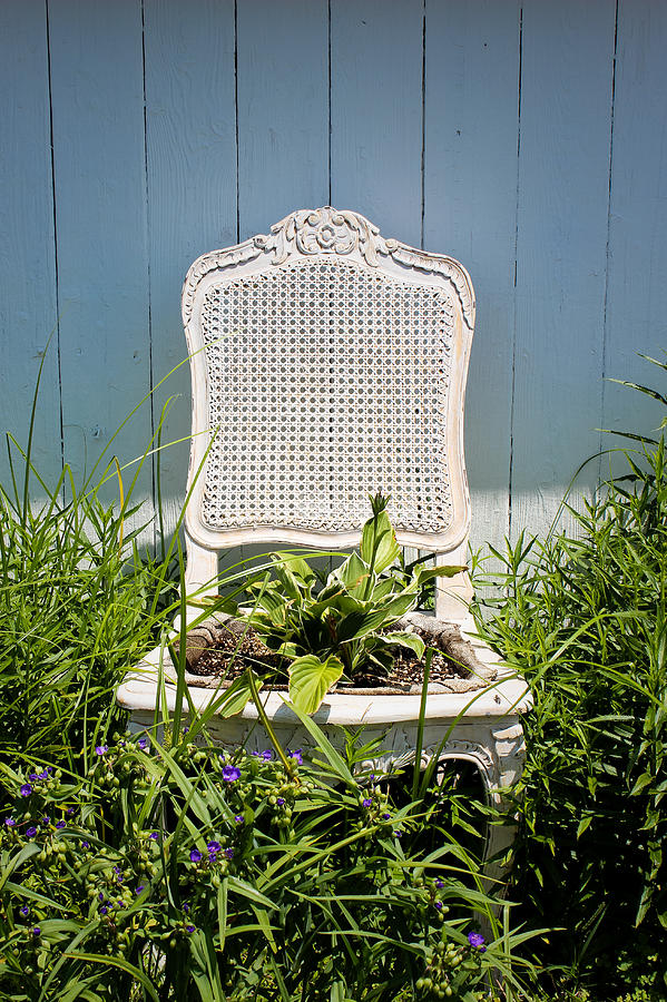 Garden Chair - French Blue Photograph by Colleen Kammerer