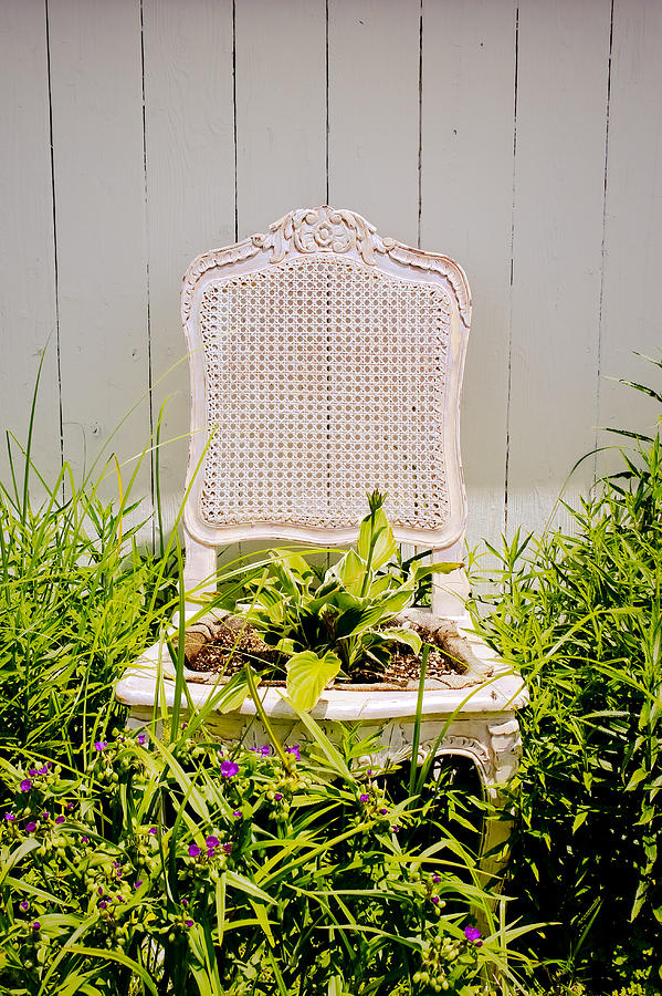 Flower Photograph - Garden Chair - Misty Gray by Colleen Kammerer
