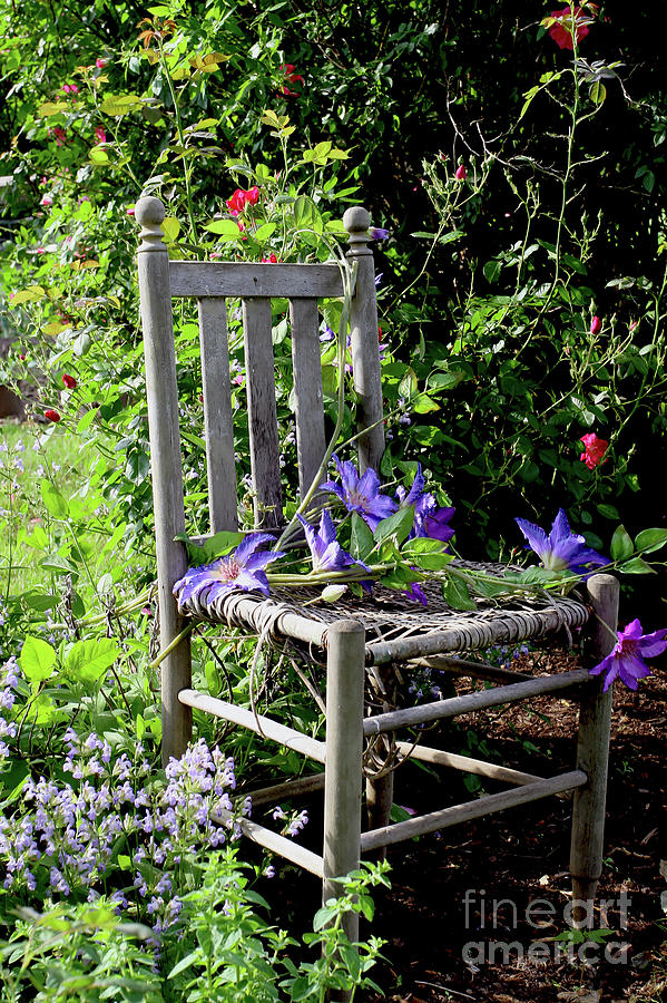 Garden Chair Photograph by Paula Guttilla